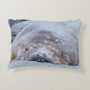 Slapende olifantenzegel accent kussen