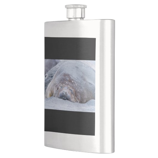 Slapende olifantenzegel flacon (Links)