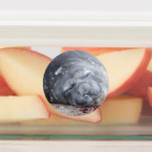 Slapende olifantenzegel labels (Aangebracht)