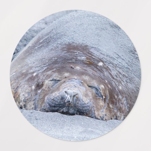 Slapende olifantenzegel labels (Design 2)