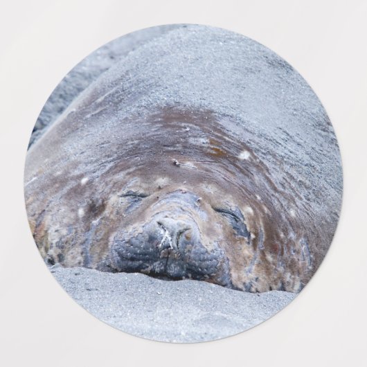 Slapende olifantenzegel labels (Design 1)