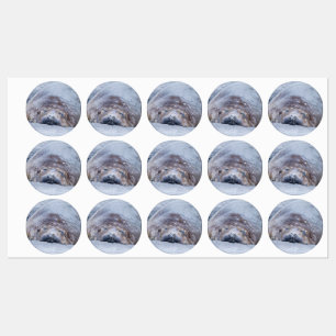 Slapende olifantenzegel labels