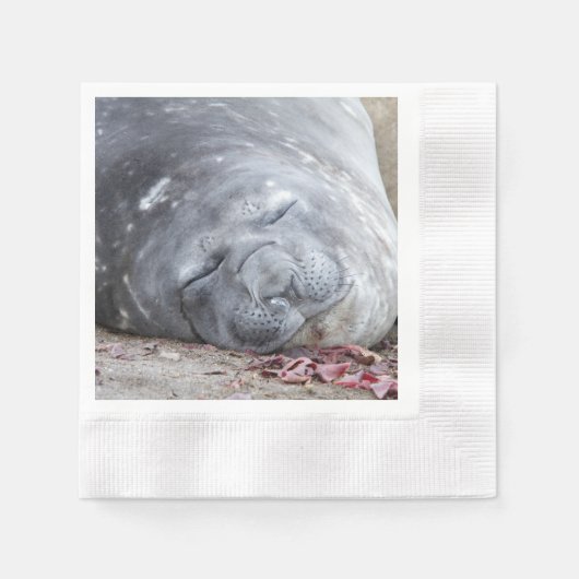 Slapende olifantenzegel servet (Voorkant)
