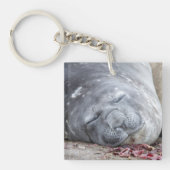 Slapende olifantenzegel sleutelhanger (Voorkant)