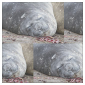 Slapende olifantenzegel stof (Close Up)