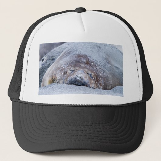 Slapende olifantenzegel trucker pet (Voorkant)
