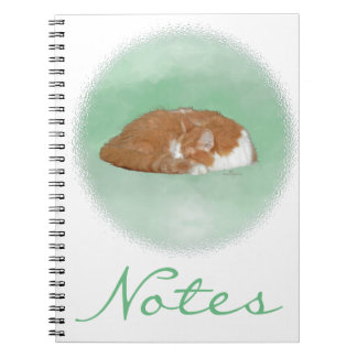 Slapende oranje kat notitieboek