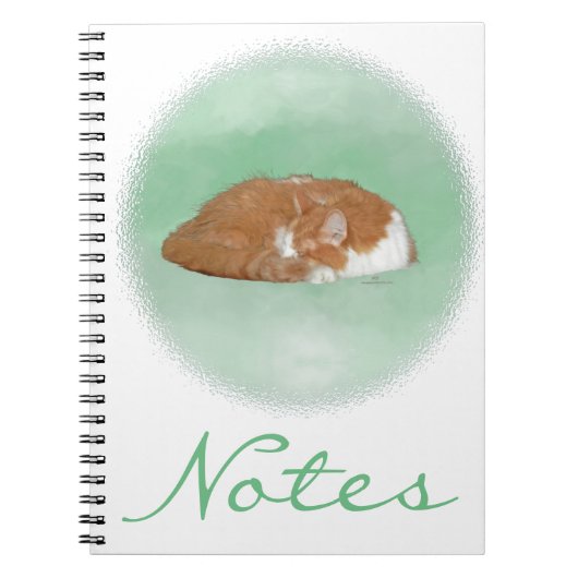 Slapende oranje kat notitieboek (Voorkant)