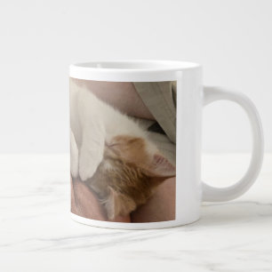 Slapende oranje katje - oranje en wit grote koffiekop