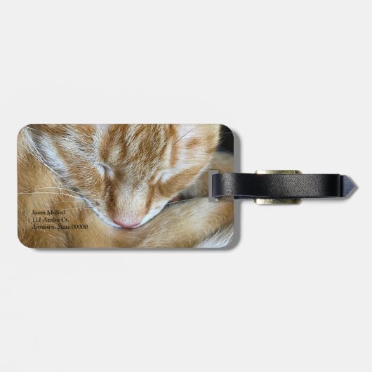 Slapende oranje tabbykat bagagelabel (Achterkant horizontaal)