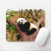 Slapende Panda Baby Muismat (Met muis)