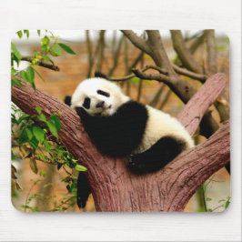 Slapende Panda Baby Muismat