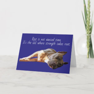 Slapende Pit Bull Kaart