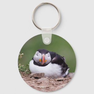 Slapende Puffin Sleutelhanger