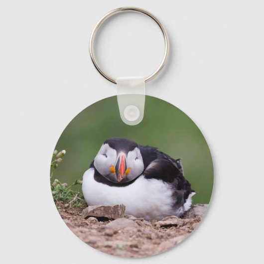 Slapende Puffin Sleutelhanger (Voorkant)