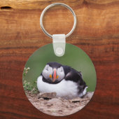 Slapende Puffin Sleutelhanger (Voorkant)