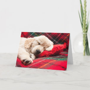 Slapende Puppy Op Schotse Ruit Feestdagen Kaart