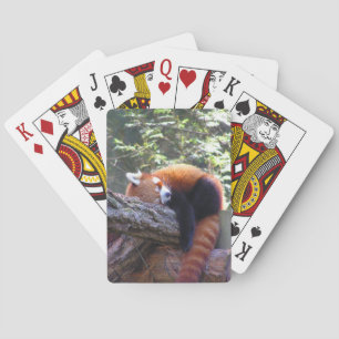 Slapende Rode Panda Pokerkaarten