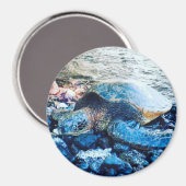 slapende schildpadmagneet magneet (Voorkant / Achterkant)