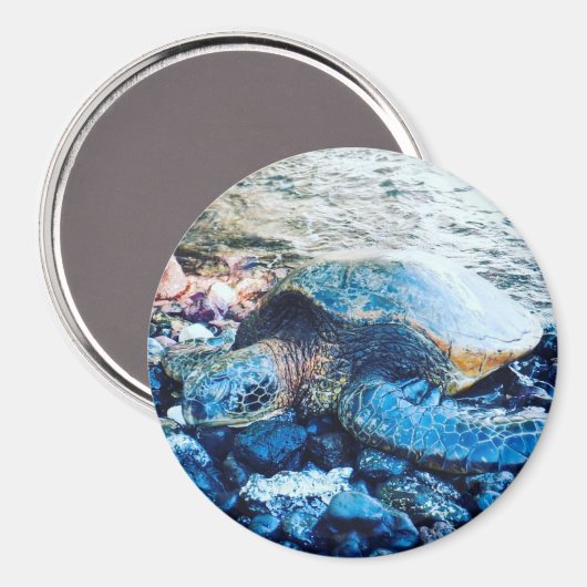 slapende schildpadmagneet magneet (Voorkant / Achterkant)