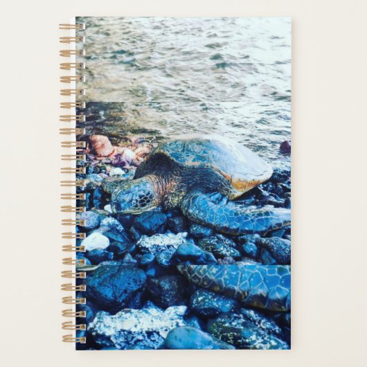 slapende schildpadplanner planner (Voorkant)