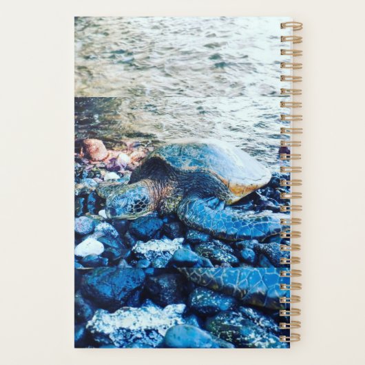 slapende schildpadplanner planner (Achterkant)