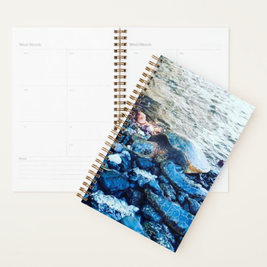 slapende schildpadplanner planner (Display)