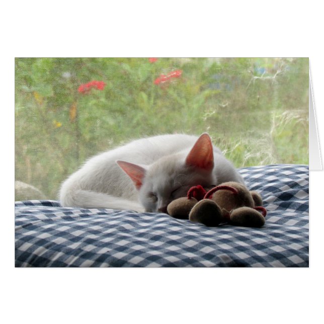 Slapende schoonheid (Voorkant Horizontaal)