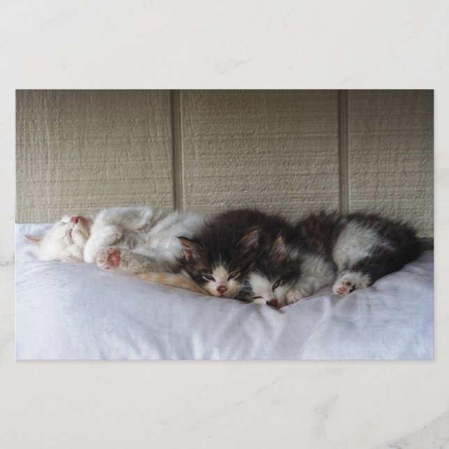 Slapende schoonheid (Voorkant)