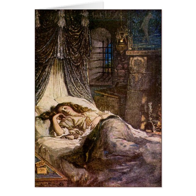 Slapende schoonheid (Voorkant)