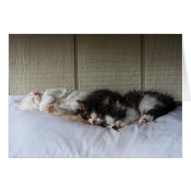 Slapende schoonheid (Voorkant Horizontaal)