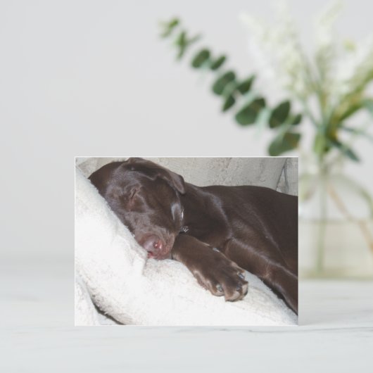 Slapende schoonheid briefkaart (Staand voorkant)