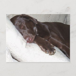 Slapende schoonheid briefkaart