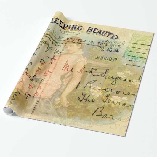 Slapende schoonheid cadeaupapier (Uitgerold)