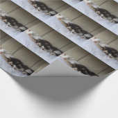 Slapende schoonheid cadeaupapier (Hoek)