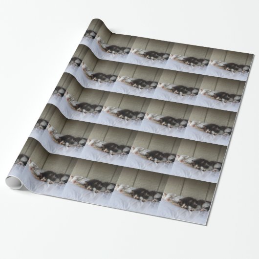 Slapende schoonheid cadeaupapier (Uitgerold)