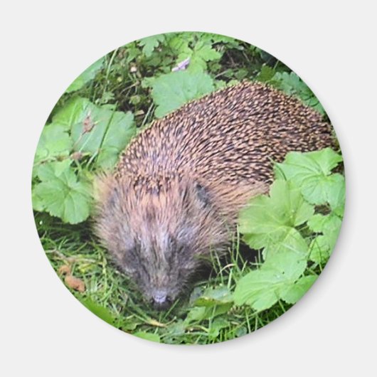 Slapende schoonheid magneet (Voorkant)