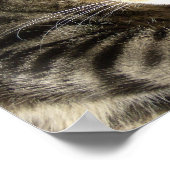 Slapende schoonheid poster (Hoek)