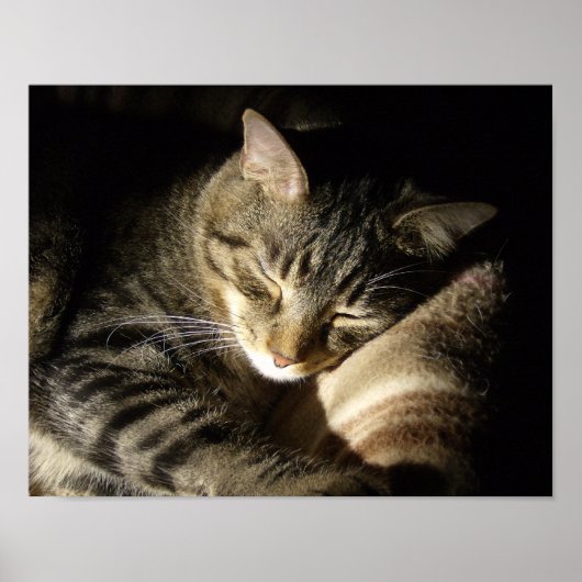 Slapende schoonheid poster (Voorkant)