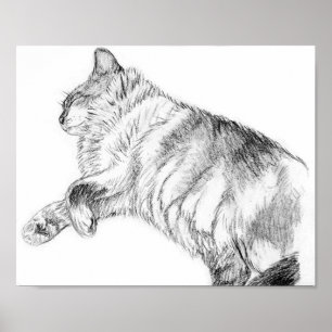 Slapende schoonheid poster