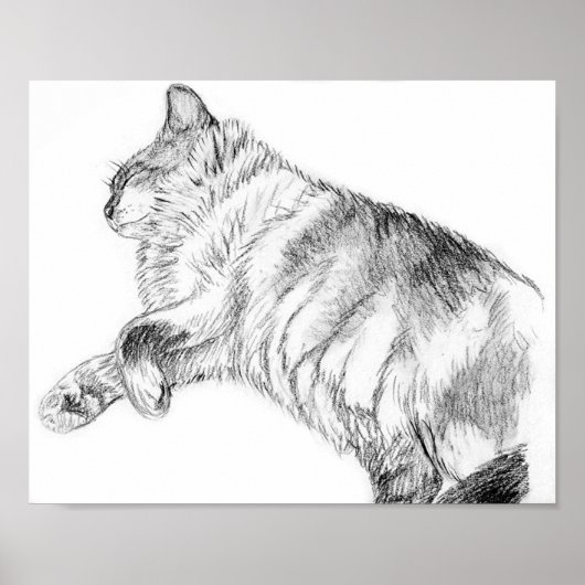 Slapende schoonheid poster (Voorkant)