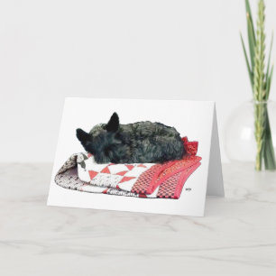 Slapende Scottie-hond Kaart