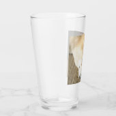 Slapende Shiba Inu Glas (Rechts)