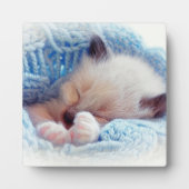 Slapende Siamese Kitten Paws Fotoplaat (Voorkant)