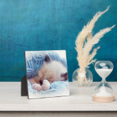 Slapende Siamese Kitten Paws Fotoplaat (Insitu)