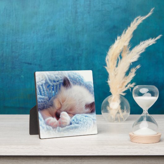 Slapende Siamese Kitten Paws Fotoplaat (Insitu)