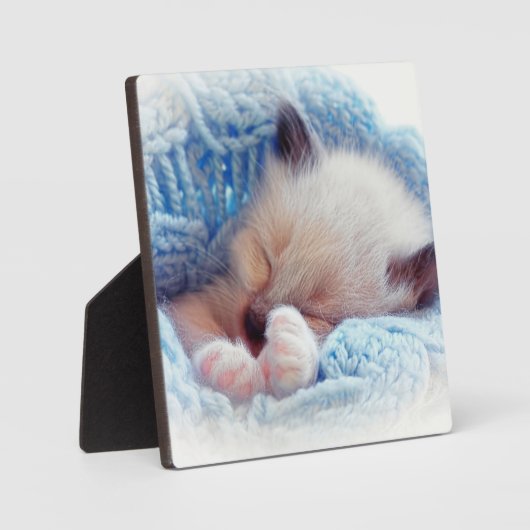 Slapende Siamese Kitten Paws Fotoplaat (Voorkant)