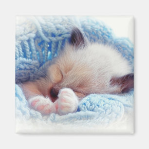 Slapende Siamese Kitten Paws Magneet