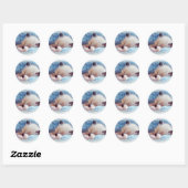 Slapende Siamese Kitten Paws Ronde Sticker (Vel)