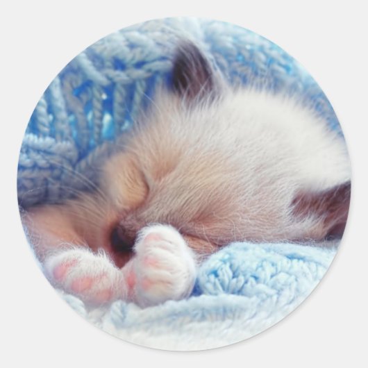Slapende Siamese Kitten Paws Ronde Sticker (Voorkant)